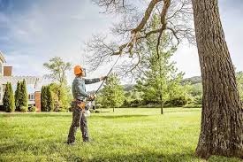 Pest Control for Lawns in Northwest Harborcreek, PA