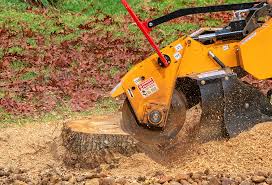 Best Tree Mulching  in Northwest Harborcreek, PA